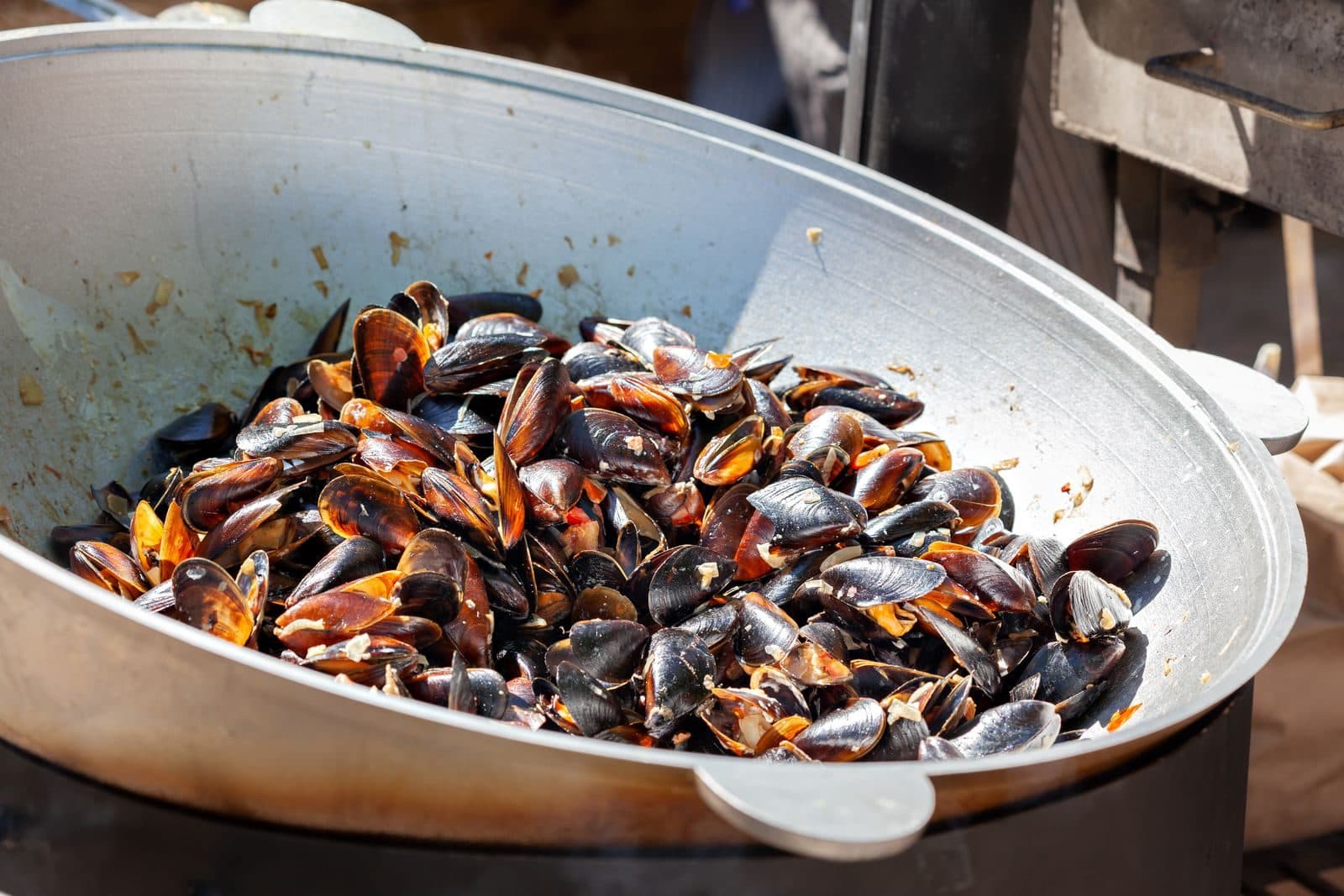 Mussels